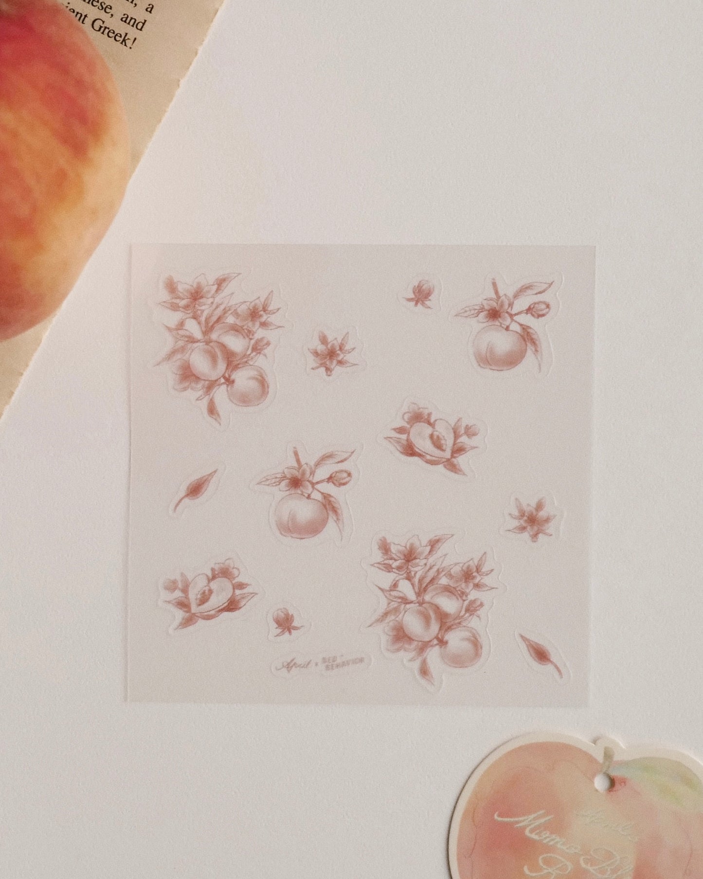 BB x April 🍑 紗棉寶寶禮盒 | Peach Whisper